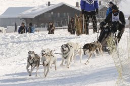 Lenk 2012 SM